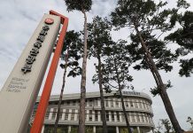 문체부, 한류진흥 전담조직 신설…“민간 주도 지속 확산 뒷받침”