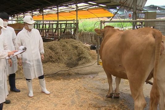 새해 복 많이 받으시소, 2024년에도 ‘명품 한우 만들기’에 앞장서는 경기도