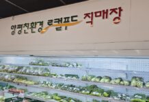 경기도 유통 로컬푸드 농산물 99.2% 잔류농약으로부터 안전
