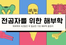 “전공자를 위한 해부학” 40시간 완성… 체육전공 필수 기초를 한 번에